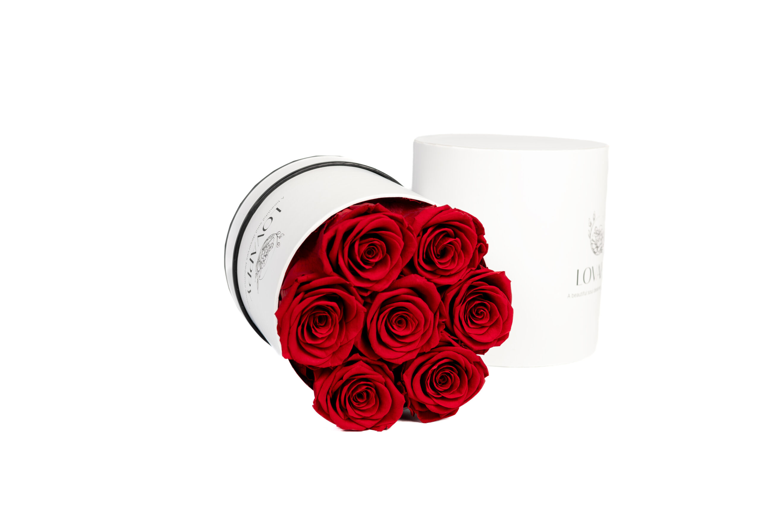 Копия Done_roses_5.6.23--15
